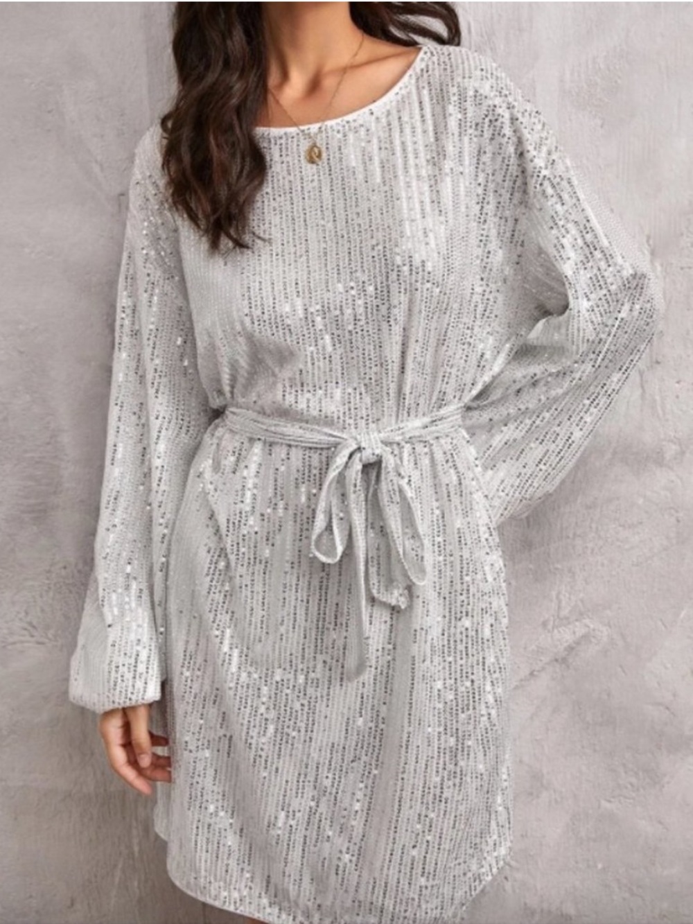 Silver Sequin belted dress